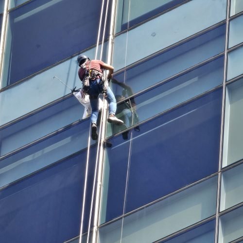 whatsapp image 2026 02 11 at 11.58.36 am